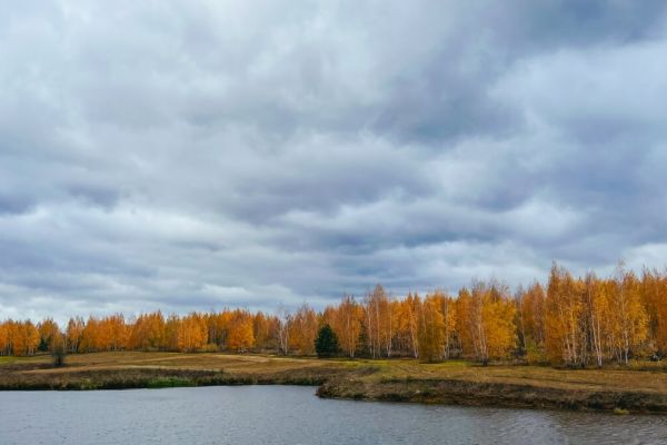 Золотая осень в Посёлке Алёшкина роща