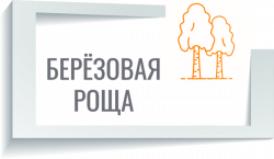 Берёзовая роща