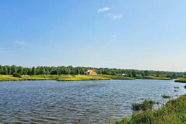 Природа Посёлка Алёшкина роща Вид с Района Алёшкина роща на Высокий берег